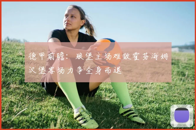 德甲前瞻：狼堡主场难敌霍芬海姆汉堡客场力争全身而退